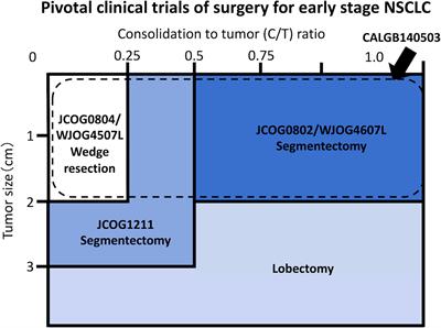 Segmentectomy for patients with early-stage pure-solid non-small cell lung cancer